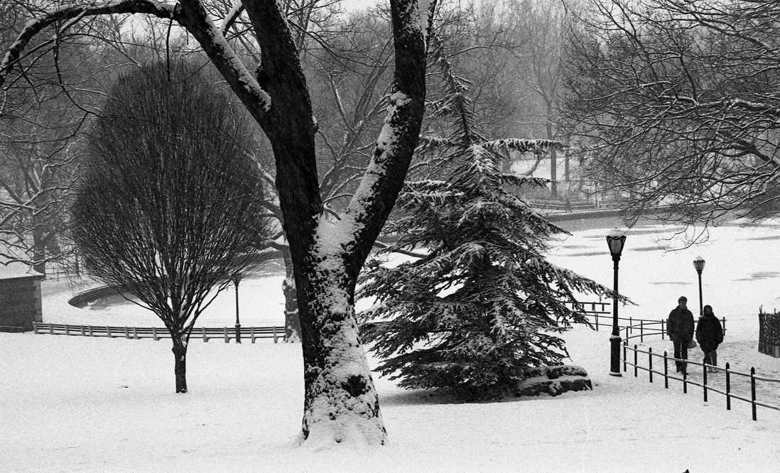 winter in central park in the 1980s